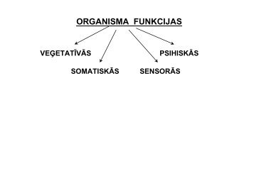 ORGANISMA FUNKCIJAS