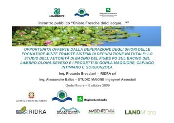 gorla minore fitodepurazione - Legambiente Lombardia