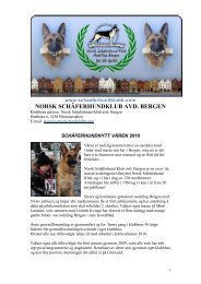 27. februar 2010 pÃ¥ Grimseid - Norsk SchÃ¤ferhund Klub avd. Bergen