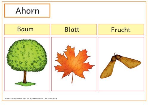 Baum Blatt Frucht Zaubereinmaleins