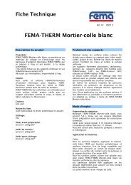 FEMA-THERM Mortier-colle blanc - 2IP