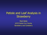 Petiole and Leaf Analysis in Strawberry - Santa Barbara County ...