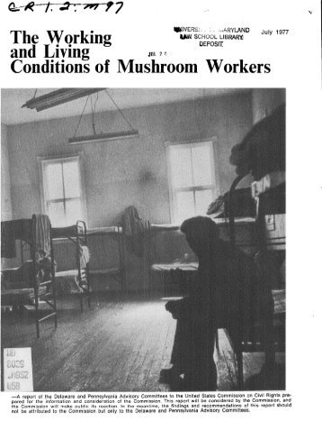 The working and living conditions of mushroom workers : a report