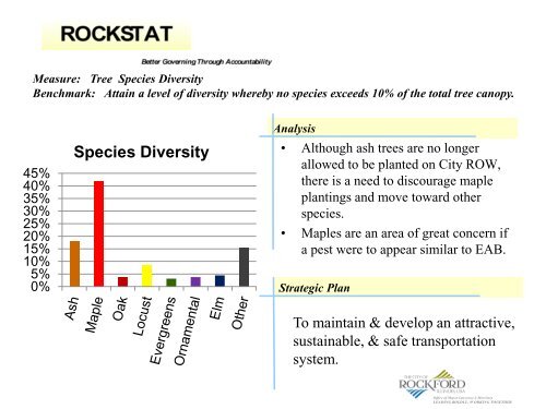 Analysis - the City of Rockford