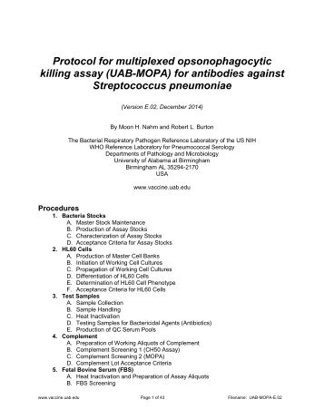 Protocol for multiplexed opsonophagocytic killing assay (UAB-MOPA)