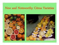 New and Noteworthy Citrus Varieties - California Rare Fruit Growers ...