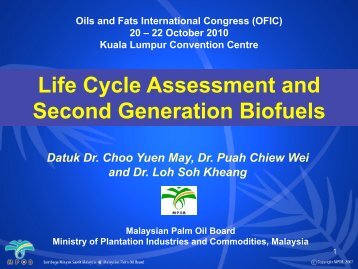 Life Cycle Assessment and Second Generation Biofuels - MOSTA