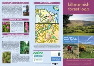 Trees on Kilbrannish How to Get There Standing ... - Carlow Tourism