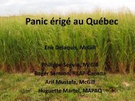 Panic érigé au Québec