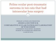 Feline ocular post-traumatic sarcoma in ten cats that had lens ...
