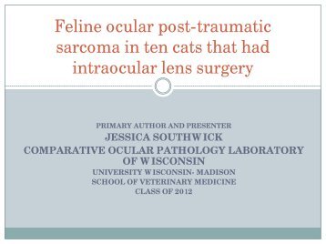 Feline ocular post-traumatic sarcoma in ten cats that had lens ...