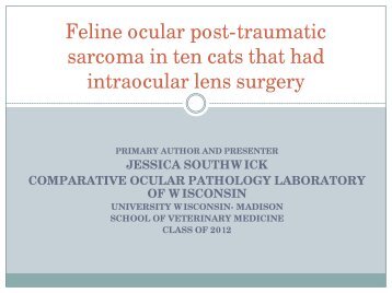 Feline ocular post-traumatic sarcoma in ten cats that had lens ...