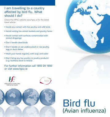 Bird Flu Information leaflet
