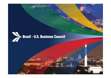 Kathleen McInerney - Brazil-US Business Council