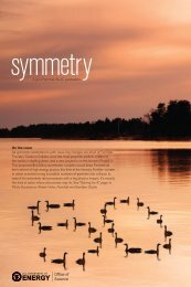 A joint Fermilab/SLAC publication On the cover As symmetry ...