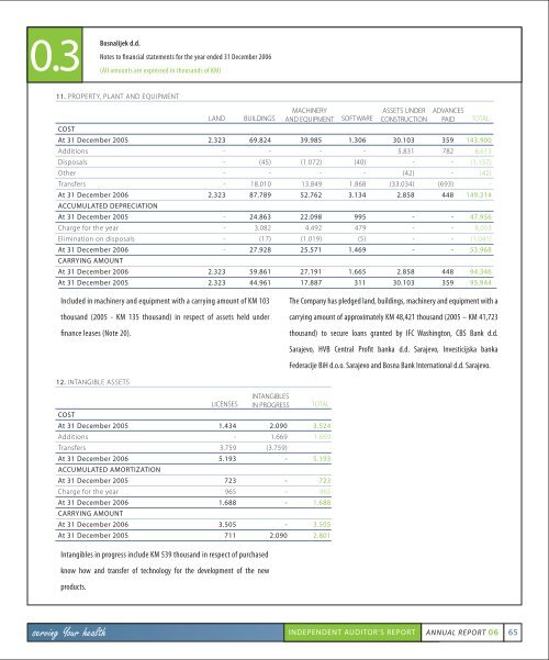 ANNUAL REPORT 06 - Bosnalijek dd