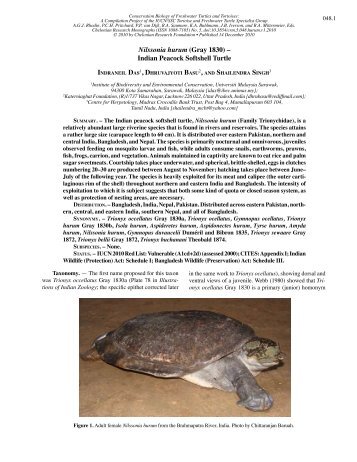 Indian Peacock Softshell Turtle - IUCN Tortoise and Freshwater ...