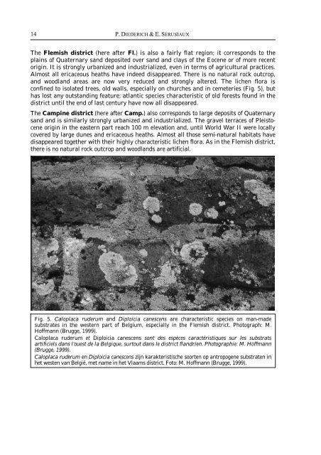 The Lichens and Lichenicolous Fungi of Belgium and Luxembourg ...