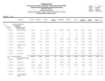 Ejecución de Gastos - Reportes - Información Consolidada ...