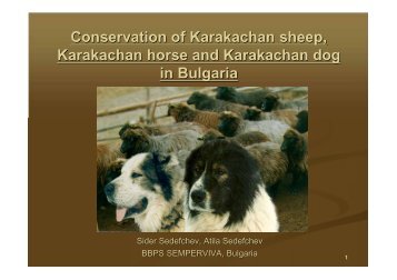 Conservation of Karakachan sheep, Karakachan horse and ...