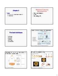 Chapter 3 Methods of Culturing Microorganisms Five basic techniques