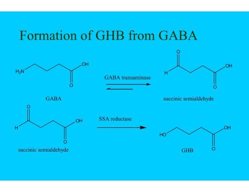 Gamma-hydroxybutyric acid – GHB Gamma-butyrolactone - GBL 1,4 ...