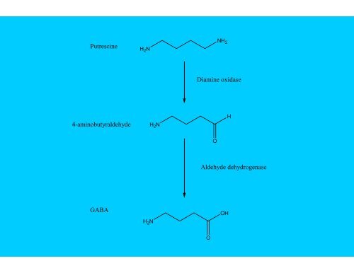 Gamma-hydroxybutyric acid – GHB Gamma-butyrolactone - GBL 1,4 ...