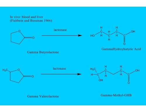 Gamma-hydroxybutyric acid – GHB Gamma-butyrolactone - GBL 1,4 ...