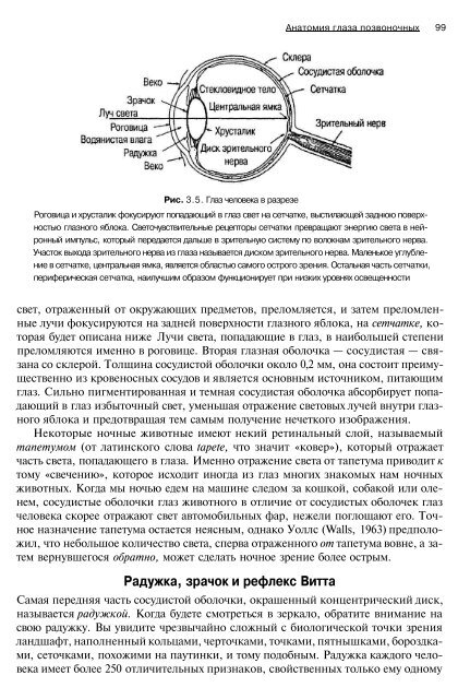 ÐÑÑÑÐµÐ½Ð¸Ðµ Ð¸ Ð²Ð¾ÑÐ¿ÑÐ¸ÑÑÐ¸Ðµ Ð¨Ð¸ÑÑÐ¼Ð°Ð½ Ð¥.