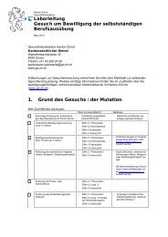 Vorlage für neutrale Dokumente - Gesundheitsdirektion - Kanton ...