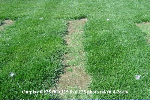 Advanced Weed Control - TurfFiles - North Carolina State University