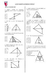 GuÃ­a de geometrÃ­a - Liceo Marta Donoso Espejo