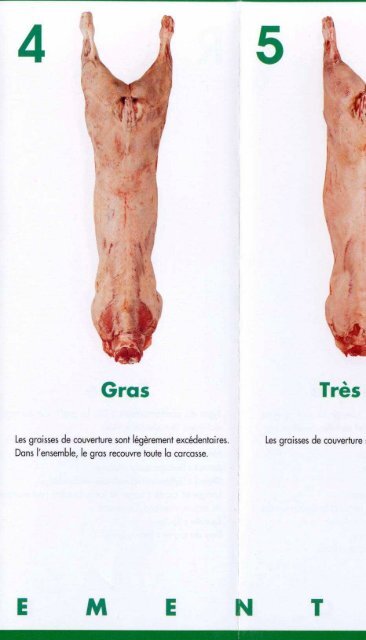 Grille de classement des carcasses de veau - Web-agri