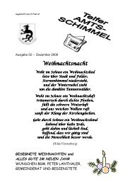 Amtsschimmel Nr. 52 - Dezember 2008.pdf - Gemeinde Telfes im ...