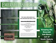 Emerald Ash Borer Brochure - South Dakota Department of Agriculture