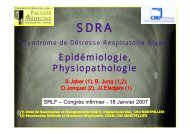 SDRA - SRLF