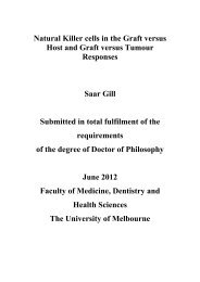 Natural killer cells in the graft versus host and graft versus tumour ...