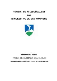 teknik- og miljÃ¸udvalget for ringkÃ¸bing-skjern kommune