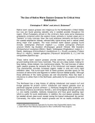 The Use of Native Warm Season Grasses for Critical Area Stabilization