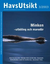 HavsUtsikt nr 3,2003 - Havet.nu