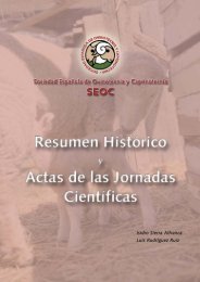 Historia - SEOC