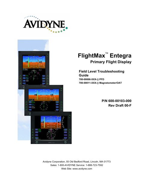 FlightMax Entegra - Avidyne