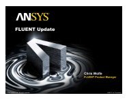 FLUENT Update - Ansys