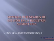 Sistemas Integrados de GestiÃ³n en la Industria Alimentaria