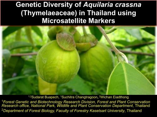 Genetic Diversity of Aquilaria crassna - APAFRI-Asia Pacific ...