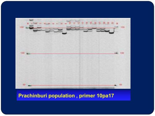 Genetic Diversity of Aquilaria crassna - APAFRI-Asia Pacific ...