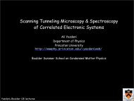 STM - Boulder School for Condensed Matter and Materials Physics