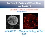 APh/BE161: Physical Biology of the Cell Lecture 2: Cells and What ...