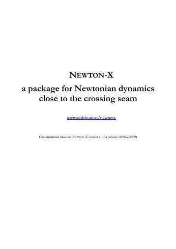 2 About NEWTON-X