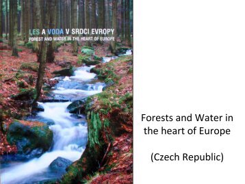 Forests and water in the czech republic - Forest Europe